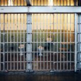 第129回  懲役刑と禁錮刑がなくなって、新たに導入される「拘禁刑」とは？
